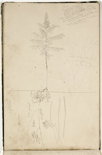 Senza titolo, schizzo del paesaggio di Catskill e studio dell